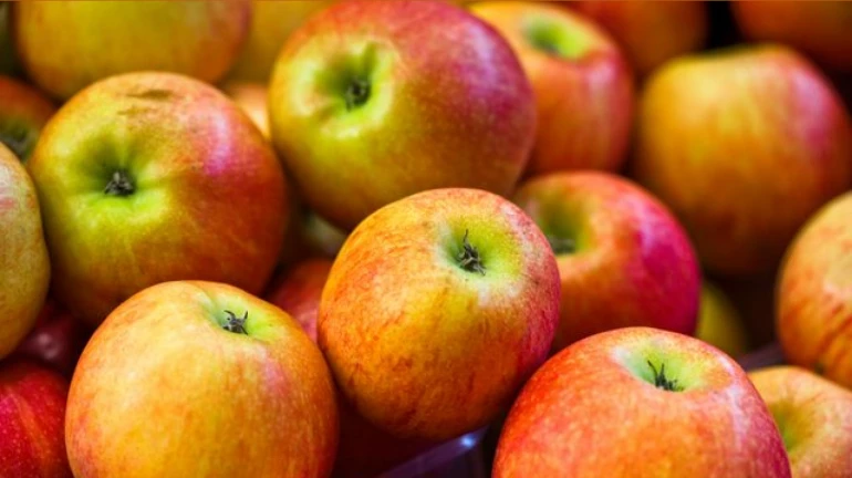 Navi Mumbai: Foreign apples flocking APMC markets; Know the price Navi Mumbai: Foreign apples flocking APMC markets; Know the price