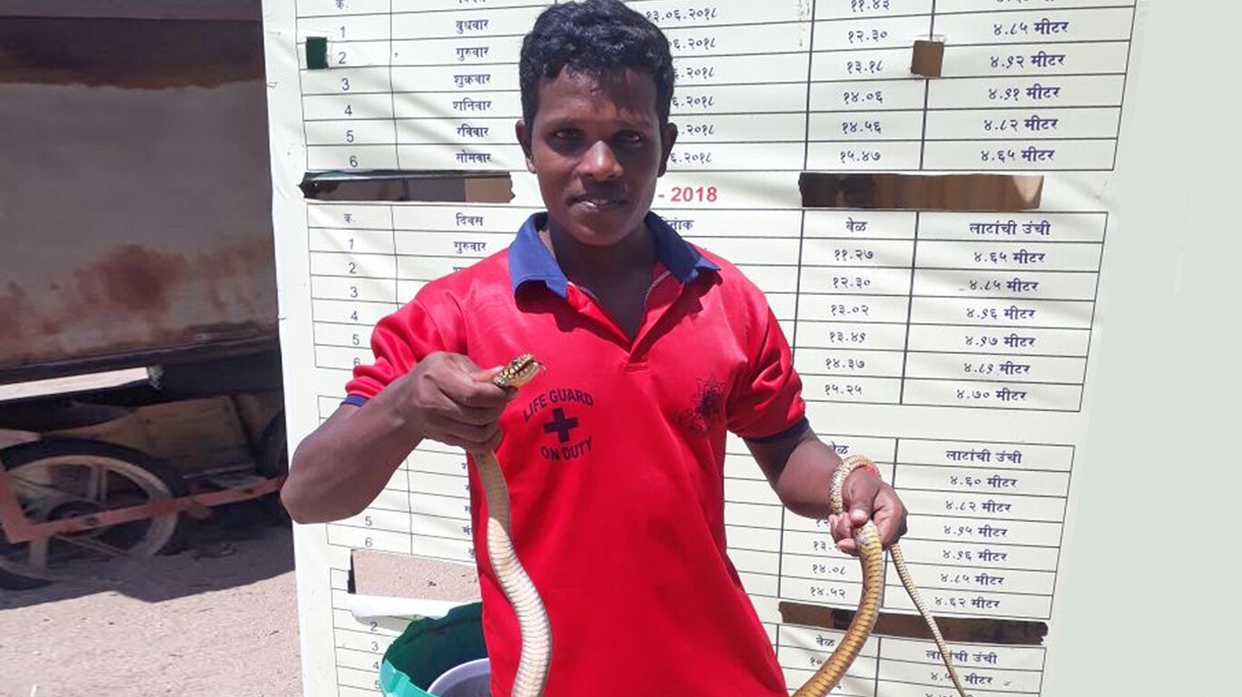 अक्सा बीचवर ३ सांपाना जीवदान