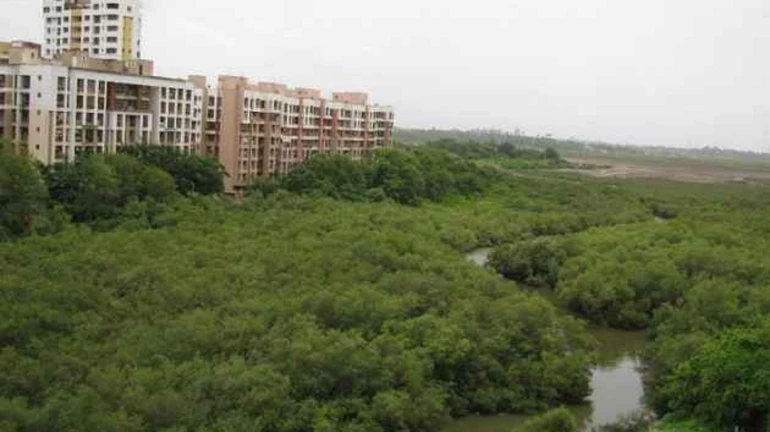 Top Reasons Why Environment-Friendly Homes are the Real Game Changer Top Reasons Why Environment-Friendly Homes are the Real Game Changer