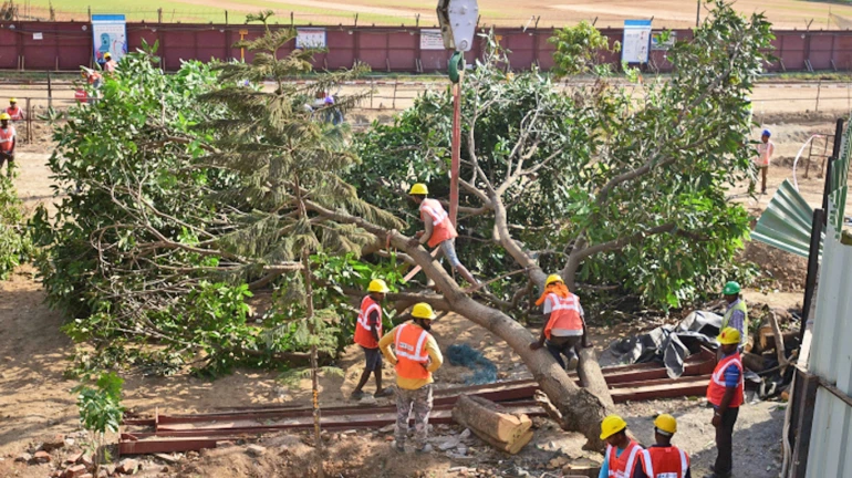 शिवसेनेचा मेट्रोचा विरोध मावळला? शिवसेनेचा मेट्रोचा विरोध मावळला?