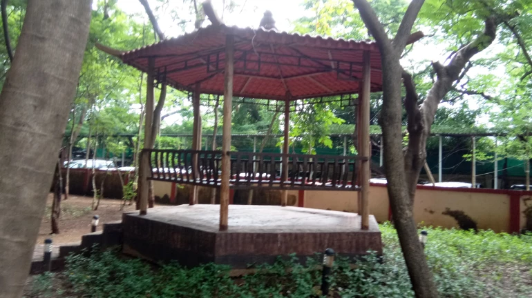 Mumbai: Demand for Increased Police Patrolling in Parks and Playgrounds Mumbai: Demand for Increased Police Patrolling in Parks and Playgrounds