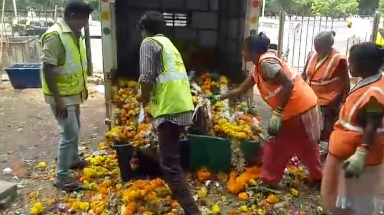 मुंबईत दादर, माहीममध्येच सर्वाधिक १६५ टन निर्माल्य मुंबईत दादर, माहीममध्येच सर्वाधिक १६५ टन निर्माल्य