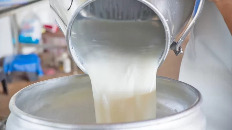 सफ़ेद दूध की काली कहानी सफ़ेद दूध की काली कहानी