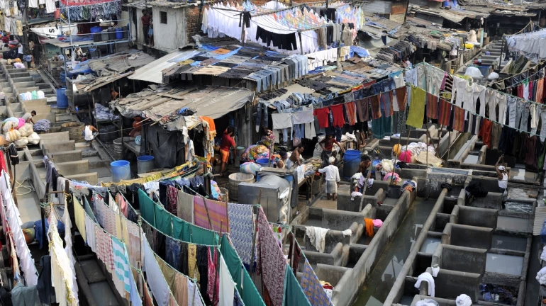 धोबी और लॉन्ड्री के बिजली बिल में कमी, राज्य सरकार का तोहफा धोबी और लॉन्ड्री के बिजली बिल में कमी, राज्य सरकार का तोहफा