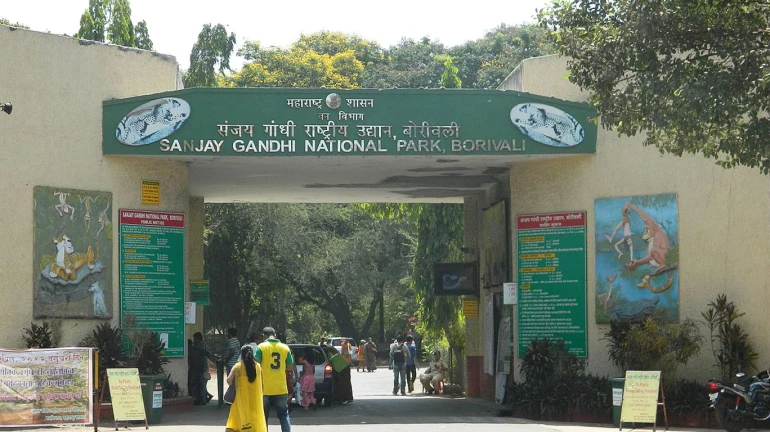 संजय गांधी राष्ट्रीय उद्यान को लेकर हाईकोर्ट ने राज्य सरकार को जारी किया नोटिस