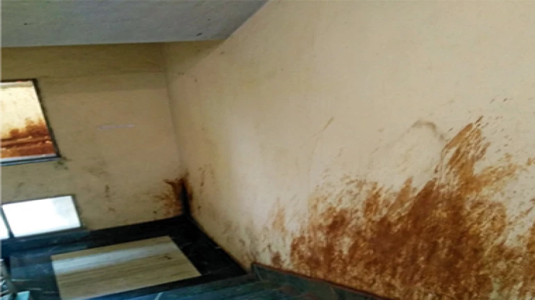 Mobile food delivery service Foodpanda asked to vacate office at Mittal Complex over paan stains Mobile food delivery service Foodpanda asked to vacate office at Mittal Complex over paan stains