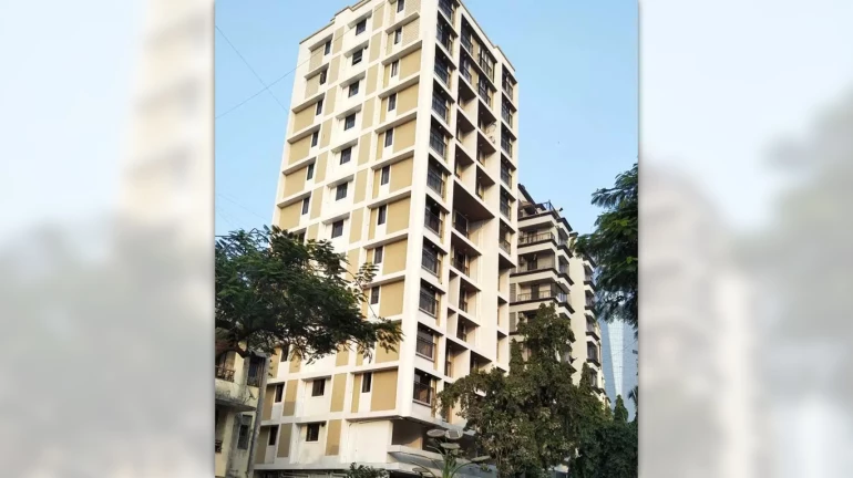 Mumbai Live Impact: दडवलेली 'ती' २६९ घरं म्हाडाने काढली बाहेर