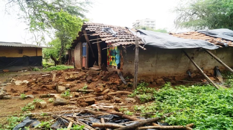 अादिवासींचा सरकारकडून विश्वासघात; पुनर्विकासात ४८० नव्हे तर ३०० चौ. फुटांची घरं अादिवासींचा सरकारकडून विश्वासघात; पुनर्विकासात ४८० नव्हे तर ३०० चौ. फुटांची घरं