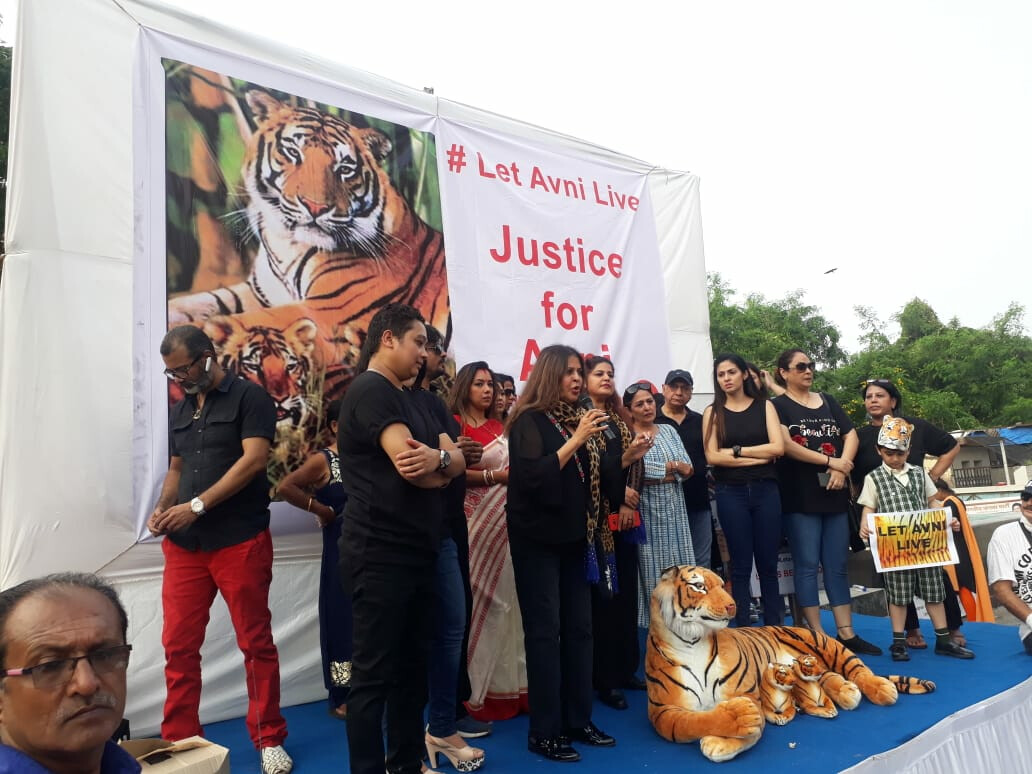 बाघिन के बचाव में टीवी सितारें उतरें सड़क पर