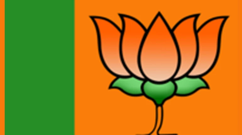 Upcoming Elections: BJP becomes top advertiser on Indian TV