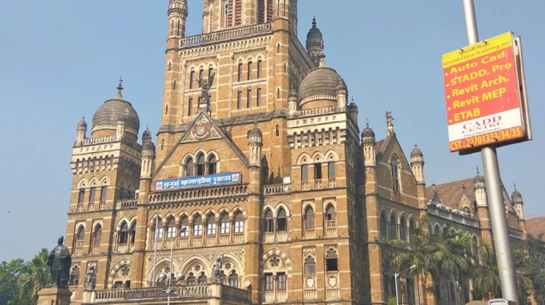 महापालिकेचं वृक्ष प्राधिकरण बेकायदेशीरच, उच्च न्यायालयाचा दणका महापालिकेचं वृक्ष प्राधिकरण बेकायदेशीरच, उच्च न्यायालयाचा दणका