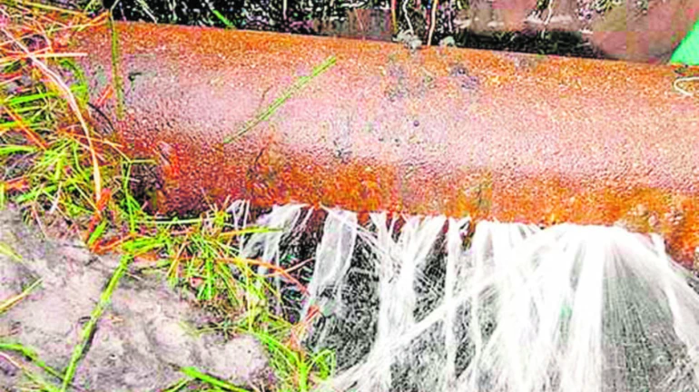 कलिना में पाइप लाइन फूटी , हजारों लीटर पानी बर्बाद