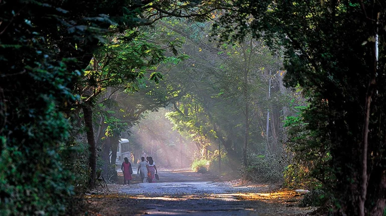 Metro-3 car shed at Aarey to be built soon as Bombay HC discards petition against the project