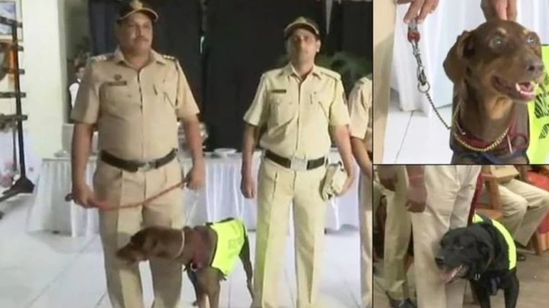 'हिना’, ‘विकी’ मुंबई पोलिस दलातून सेवानिवृत्त 'हिना’, ‘विकी’ मुंबई पोलिस दलातून सेवानिवृत्त