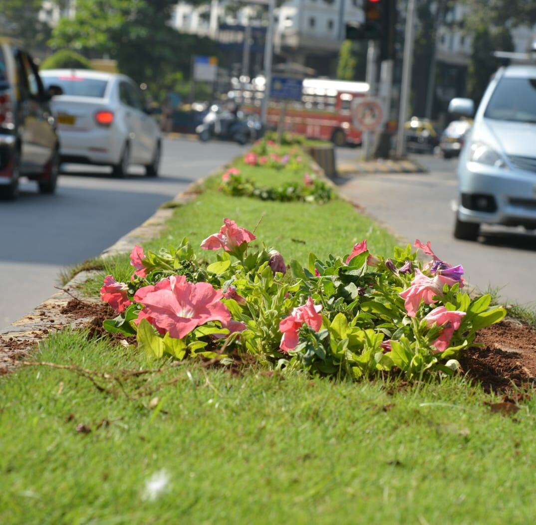 ५ हजार फुलझाडांनी सजला मंत्रालय परिसर