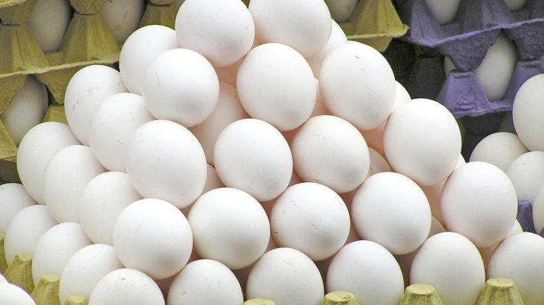 चोरों ने ट्रक सहित उड़ा लिए 5 लाख के अंडे