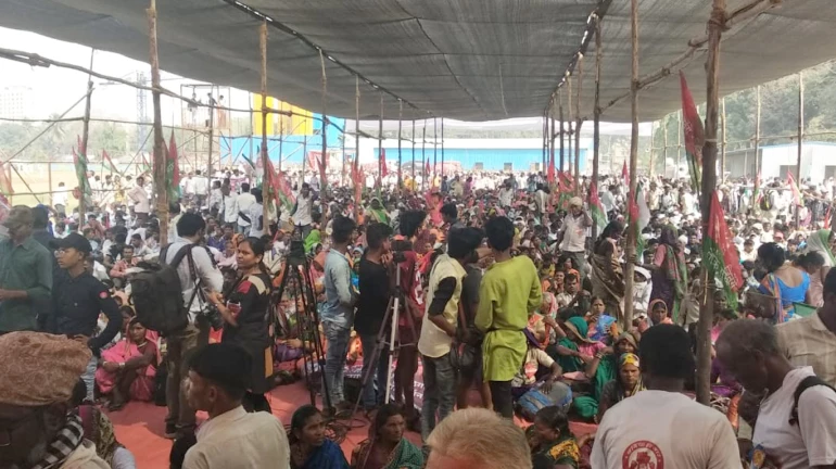 शेतकऱ्यांची पुन्हा आश्वासनांवर बोळवण? शिष्टमंडळ लेखी आश्वासनावर ठाम शेतकऱ्यांची पुन्हा आश्वासनांवर बोळवण? शिष्टमंडळ लेखी आश्वासनावर ठाम