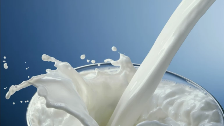 तुमच्या घरात भेसळयुक्त दूध तर येत नाही ना ?, भेसळयुक्त दूधाची विक्री करणाऱ्यांचा पर्दाफाश