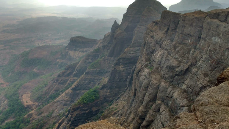 20 trekkers rescued from Harishchandra fort 20 trekkers rescued from Harishchandra fort