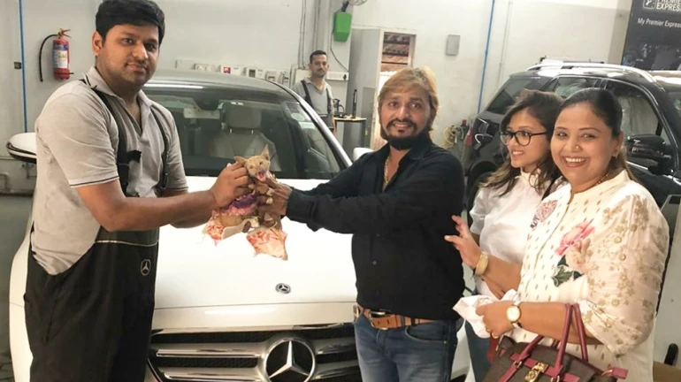 Kitten rescued six hours after being stuck in car engine Kitten rescued six hours after being stuck in car engine