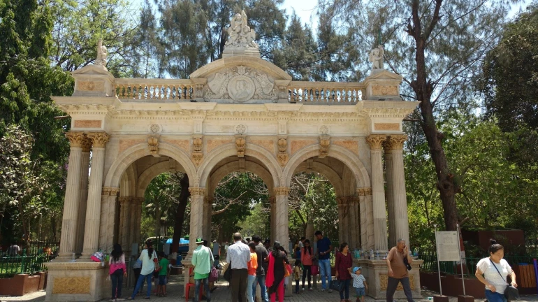 Researchers find significant species of trees at Byculla zoo Researchers find significant species of trees at Byculla zoo