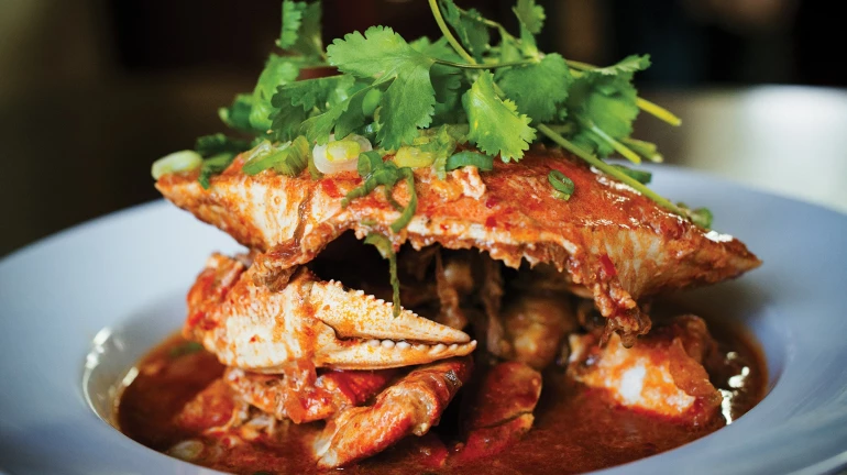 रहिवाशांच्या विरोधाला न जुमानता पालिकेने सुरू केला 'सी फूड प्लाझा' रहिवाशांच्या विरोधाला न जुमानता पालिकेने सुरू केला 'सी फूड प्लाझा'