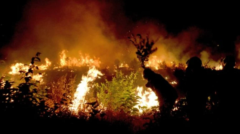 मुंब्रा के कौसा में लगी आग, कोई जनहानि नहीं मुंब्रा के कौसा में लगी आग, कोई जनहानि नहीं