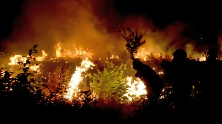 कांदिवलीच्या गवर्नमेंट इंडस्ट्रीयल इस्टेट कॉलनीत आग कांदिवलीच्या गवर्नमेंट इंडस्ट्रीयल इस्टेट कॉलनीत आग