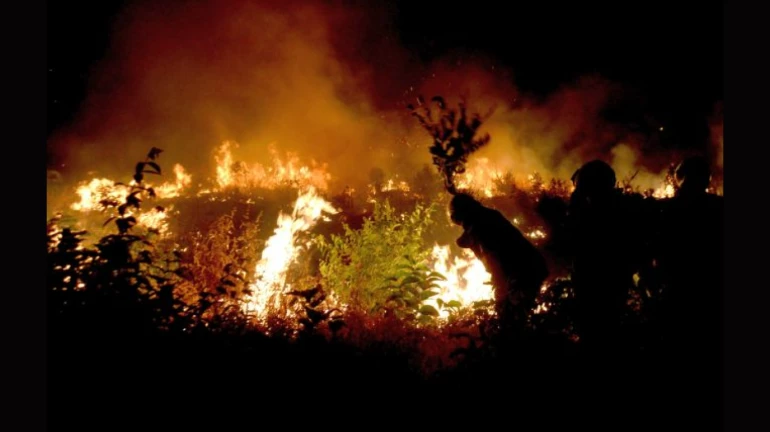 आरेतील आग जाणीवपूर्वक लावलेली, दिंडोशी वनधिकाऱ्यांचा खळबळजनक दावा