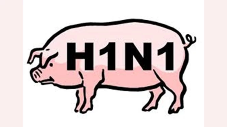 H1N1 cases decline in Mumbai: BMC health department report H1N1 cases decline in Mumbai: BMC health department report