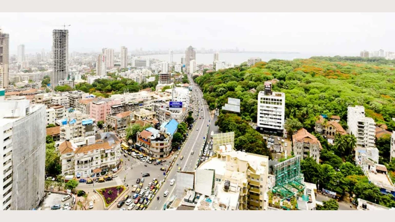 Mumbai: Tree Preservation Efforts Around Hanging Gardens, Malabar Hill Reservoir Mumbai: Tree Preservation Efforts Around Hanging Gardens, Malabar Hill Reservoir