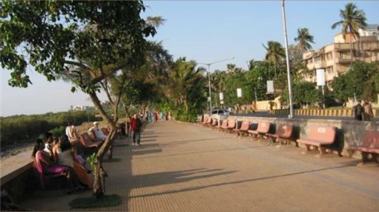 Now Enjoy An Uninterrupted 4 KM Walk At Carter Road Now Enjoy An Uninterrupted 4 KM Walk At Carter Road