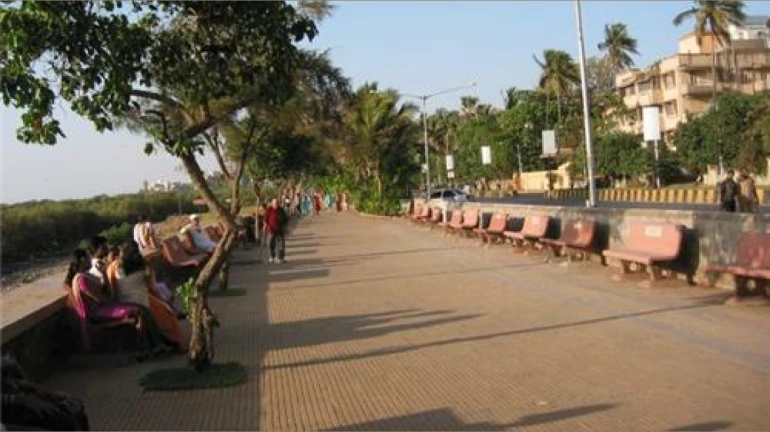 Maritime Board Reaches Out to the BMC for the Maintenance of Carter Road Promenade