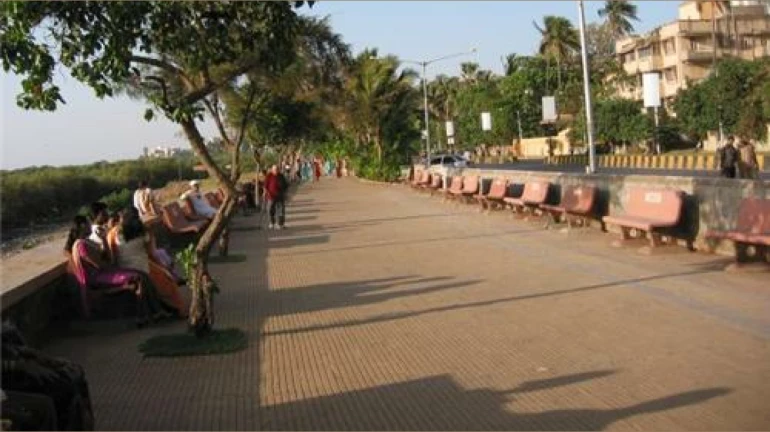बांद्रा के रहिवासियो ने कार्टर रोड के पास वर्सोवा-बांद्रा सी लिंक परियोजना के बारे में सरकार से किया संपर्क