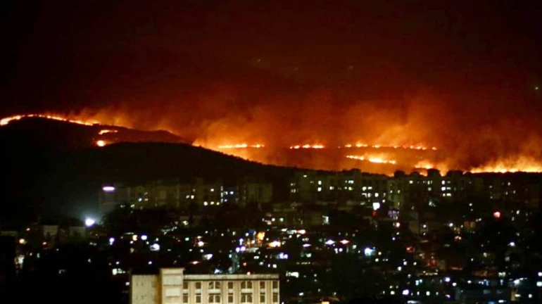 State forest minister to draw fire line in SGNP to prevent fire spread State forest minister to draw fire line in SGNP to prevent fire spread