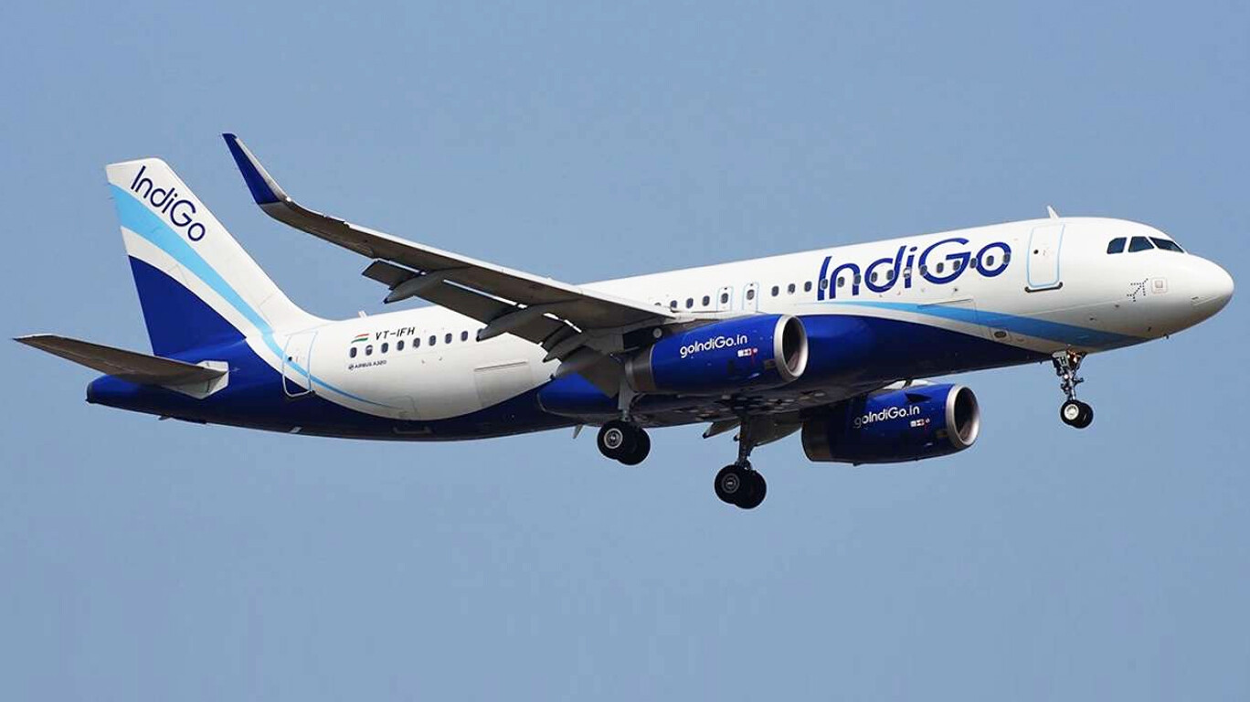 Mumbai: IndiGo Worker Fell Asleep In Cargo Compartment, Lands in Dubai