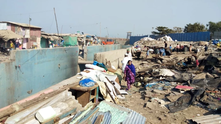 देवनार में 127 अवैध निर्माणों पर चला बीएमसी का हथौड़ा देवनार में 127 अवैध निर्माणों पर चला बीएमसी का हथौड़ा