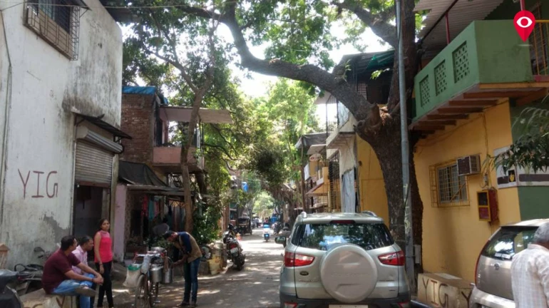 ३ टप्प्यांत होणार मोतीलाल नगर पुनर्विकास योजनेचं सादरीकरण ३ टप्प्यांत होणार मोतीलाल नगर पुनर्विकास योजनेचं सादरीकरण