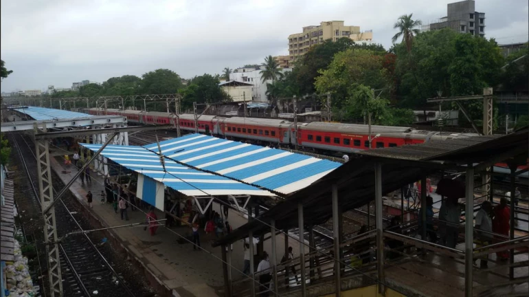 सांताक्रूझचा पादचारी पूल ३१ डिसेंबरपासून प्रवाशांसाठी खुला सांताक्रूझचा पादचारी पूल ३१ डिसेंबरपासून प्रवाशांसाठी खुला