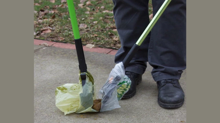 92 pet owners fined by BMC for not carrying poop-scoopers 92 pet owners fined by BMC for not carrying poop-scoopers