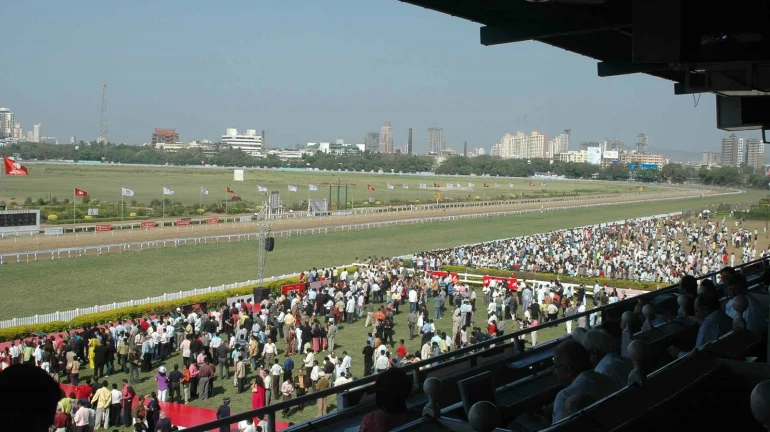 BMC Considers 2 New Locations In Navi Mumbai For Mahalaxmi Racecourse