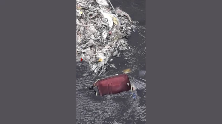 लैंगिक अत्याचार करून अल्पवयीन मित्राची हत्या लैंगिक अत्याचार करून अल्पवयीन मित्राची हत्या