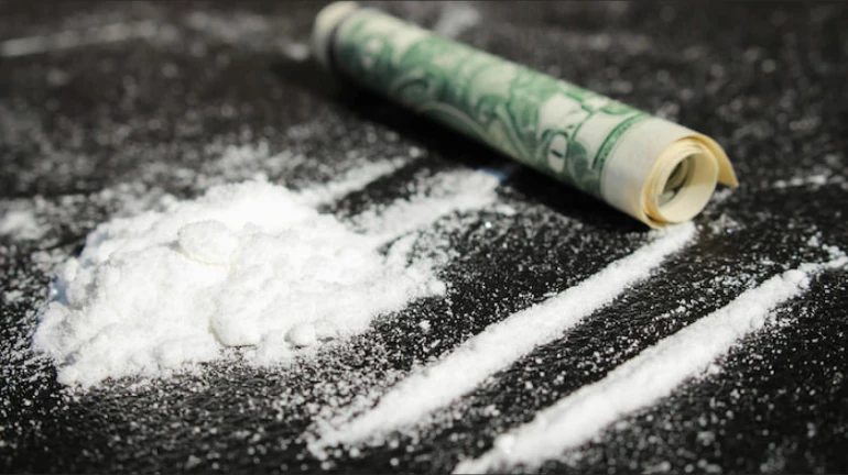 Mumbai: INR 56 crore worth of cannabis seized from the airport Mumbai: INR 56 crore worth of cannabis seized from the airport