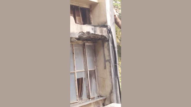 मुंबई विद्यापीठाचा स्लॅब कोसळला, ३ विद्यार्थीनी जखमी मुंबई विद्यापीठाचा स्लॅब कोसळला, ३ विद्यार्थीनी जखमी
