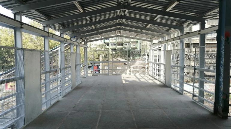 मस्जिद स्टेशन और सांताक्रूज स्टेशन का ब्रिज यात्रियों के लिए खुला मस्जिद स्टेशन और सांताक्रूज स्टेशन का ब्रिज यात्रियों के लिए खुला