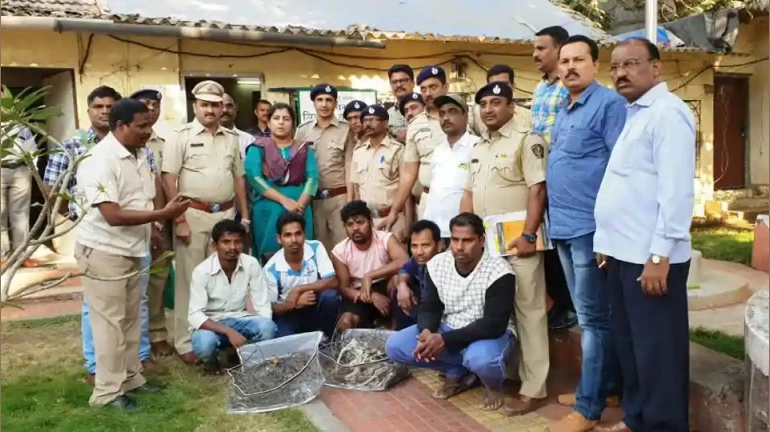 Leopard carcass update: Police arrest five people including three tribals