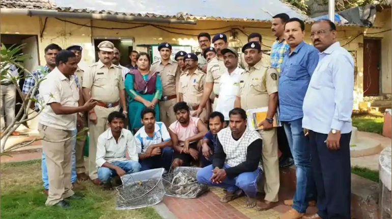 Leopard carcass update: Police arrest five people including three tribals Leopard carcass update: Police arrest five people including three tribals