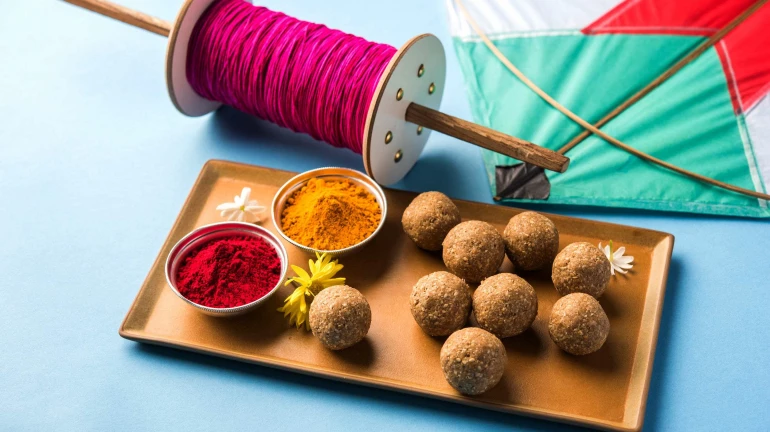 ... म्हणून १५ जानेवारीला साजरी होणार संक्रांत ... म्हणून १५ जानेवारीला साजरी होणार संक्रांत