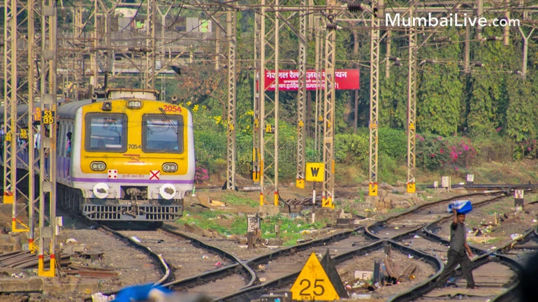 पाच वर्षात ३५० रेल्वे अपघातात ४१९ प्रवाशांचा मृत्यू, १०२४ जखमी पाच वर्षात ३५० रेल्वे अपघातात ४१९ प्रवाशांचा मृत्यू, १०२४ जखमी