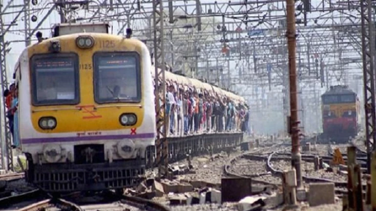 Harbour Line services disrupted due to crack on railway line